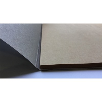 Альбом для рис. и эскизов А3, 40л, склей, карт.подлож, бл.крафт 80г, 05190