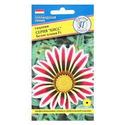 Семена цветов Гацания «Кисс» F1 Белое пламя, для балкона, веранды, цветника, однолетник, низкорослая, 5 шт.