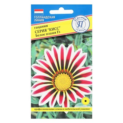 Семена цветов Гацания «Кисс» F1 Белое пламя, для балкона, веранды, цветника, однолетник, низкорослая, 5 шт.