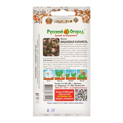 Цветы Флокс однолетний Вишневая Карамель (0,1г)