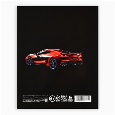Дневник школьный для 1-11 класса, в интегральной обложке, 40 л. Street racing