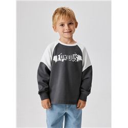 Джемпер детский для мальчиков Richards