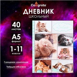 Дневник универсальный для 1-11 классов, "Котята", твердая обложка 7БЦ, глянцевая ламинация, 40 листов