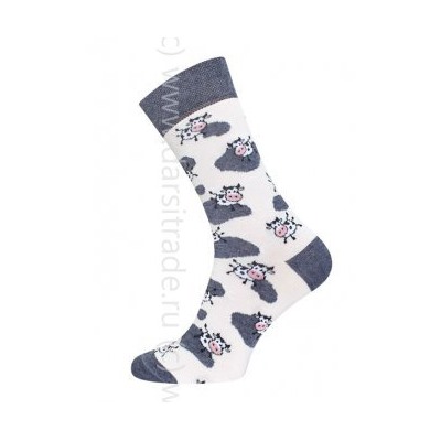 Носки женские 21С4200В 006 Брестские Fajna Socks Conte [6шт] Дроп х/б