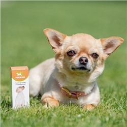 Лечебные травы «Пижон» успокаивающие, для собак, 50 мл