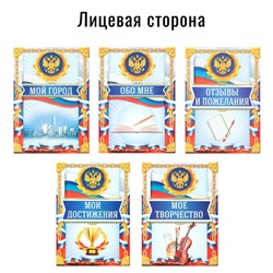 Папка школьная на кольцах «Портфолио школьника», 10 листов-разделителей, 24,5 х 32 см.
