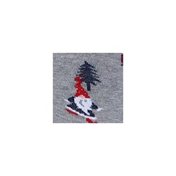 Носки мужские 20С2146 034 Брестские Classic Conte [6шт] Дроп