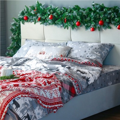 Постельное бельё Этель 1.5сп Snow time 143х215см,150х214см,50х70см-2 шт