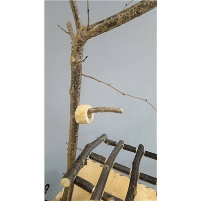 Игровой стенд для мелких и средних попугаев 2