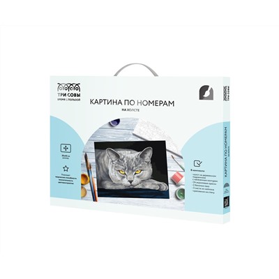 Картина по номерам на холсте ТРИ СОВЫ "Серый кот", 30*40, с акриловыми красками и кистями