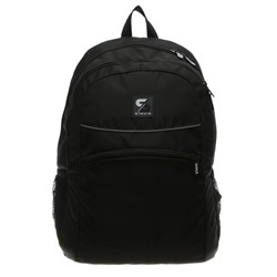 Рюкзак молодёжный Stavia, 46×33×16 см, эргономичная спинка, «Кант»