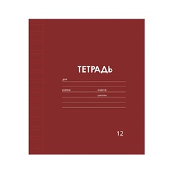 Тетрадь 12 листов в узкую линию Calligrata «Однотонная Классика. Эконом», серые листы, МИКС