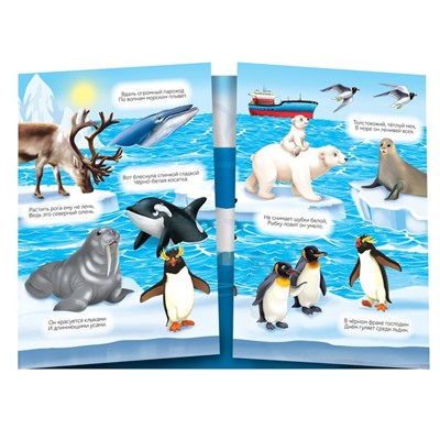 Книги с наклейками многоразовыми «Изучаем животных», набор 4 шт.