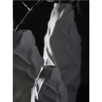 Ваза для сухоцветов Printed Art, Bump, 25 см