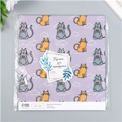 Бумага для скрапбукинга двусторонняя «Котики», плотность 180 г, 15.5×17 см