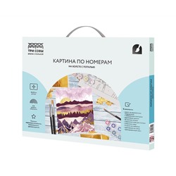 Картина по номерам на холсте ТРИ СОВЫ "Розовый закат", 40*50, с поталью, акриловыми красками и кистями