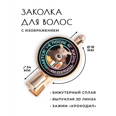 HZF-0075 Заколка Жизнь после  градусов