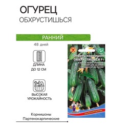 Семена Огурец "Обхрустишься" F1, раннеспелый, партенокарпический, 10 шт