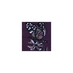 Носки женские 14с1100 606 Брестские Classic Conte [6шт] Дроп х/б