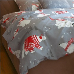 Постельное бельё "Этель" 1.5 сп «Зимние игры» 143*215 см, 150*214 см, 70*70 см -2 штуки