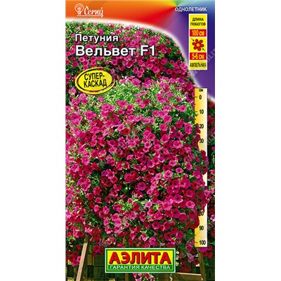 1497 Петуния Вельвет F1 ампельная 5шт