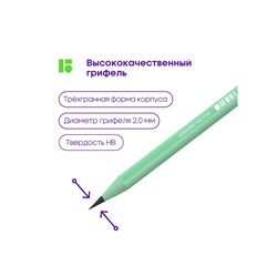 Карандаш чернографитный Berlingo Flexy Pastel HB, с ластиком, заточенный, МИКС
