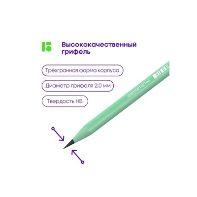 Карандаш чернографитный Berlingo Flexy Pastel HB, с ластиком, заточенный, МИКС