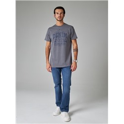 Футболка мужская арт. 02285/Denim