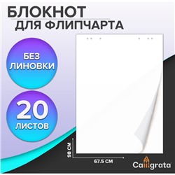 Блокнот для флипчарта Calligrata, 67.5×98 см, 20 листов, 80 г/м², белизна 92%, белый