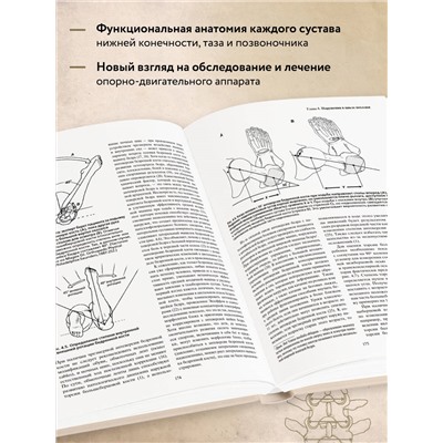 Томас С. Мишо. Локомоция человека. Протокол обследования, оценка, лечение и профилактика травм, связанных с циклом походки