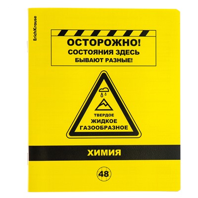 Комплект предметных тетрадей 48 листов, 12 штук, ErichKrause Be Informed, пластиковая обложка, шелкография, блок офсет 100% белизна, инфо-блок