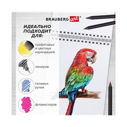 Скетчбук, белая бумага 100г/м2, 140х201мм, 60л, гребень,жёст. подложка, BRAUBERG ART,Корги, 115064