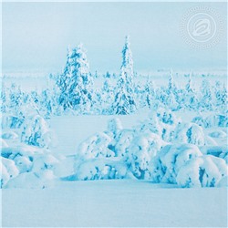 КПБ Символ удачи с компаньоном Арт Дизайн 220