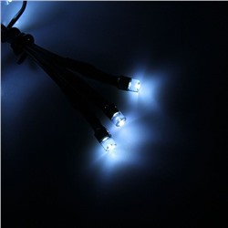 УЦЕНКА Гирлянда «Сеть», 1.6×1.6 м, 144 LED, 220 В, 8 режимов, свечение белое