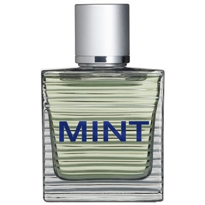 Toni Gard Spray Eau de Toilette (EdT) Туалетная вода Mint Man, 30 мл