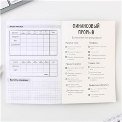 Блокнот для планирования финансов А6, 68 л «Советы енотика»