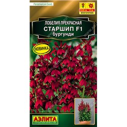 1404 Лобелия Старшип F1 бургунди 5шт