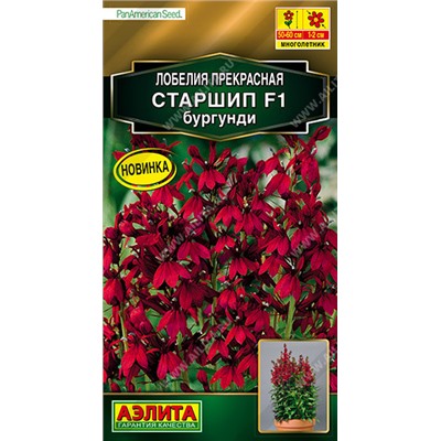 1404 Лобелия Старшип F1 бургунди 5шт