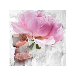 BYREDO Le Corps Blanche Körperpflegeset Подарочный набор "Blanche" для тела: лосьон и средство для душа