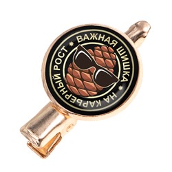 HZF-0010 Заколка Важная шишка