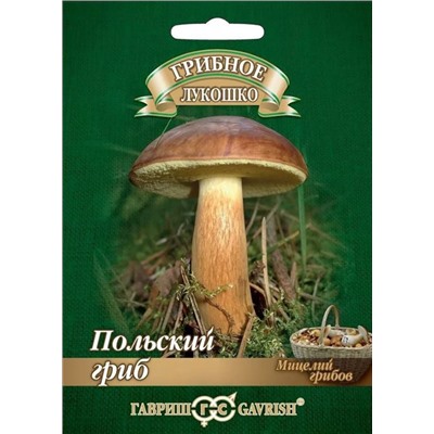 Мицелий грибов Польский гриб, арт.: 15144