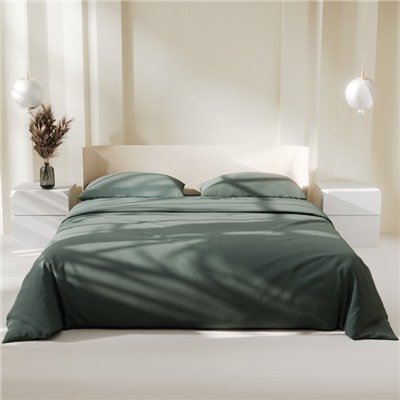 Постельное бельё Этель 1,5 сп Green forest 143х215, 150х214, 50х70см-2 шт, 100% хлопок, поплин 125г/м2