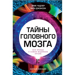 Считаем и решаем. 100 шагов к школе (обложка). (ПР)