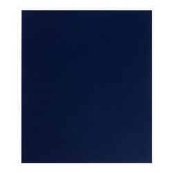 Альбом для монет «Стандарт. Optima», 230×270 мм, без листов, синий