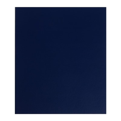 Альбом для монет «Стандарт. Optima», 230×270 мм, без листов, синий