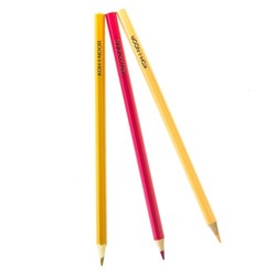 Карандаши цветные 36 цветов Koh-I-Noor 3555, «Животные», европодвес