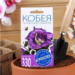 Семена цветов Кобея "Сканденс", 4 шт