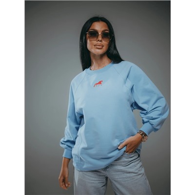 Свитшот Символ голубой Лт