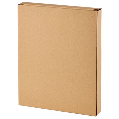 БЛЮДО СЕРВИРОВОЧНОЕ КОЛЛЕКЦИЯ "PINE CONES", 24,5*18,6*2,1 СМ