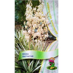 Семена Юкка Нитчатая, арт.: 5424